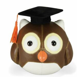 graduation owl med cap